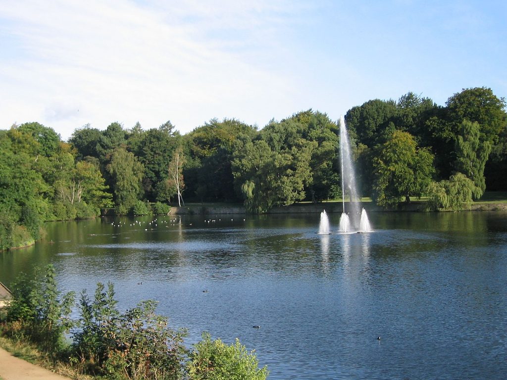 This is an image of the pond at Roundhay park in Leeds.