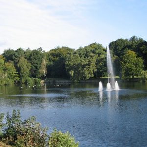 This is an image of the pond at Roundhay park in Leeds.