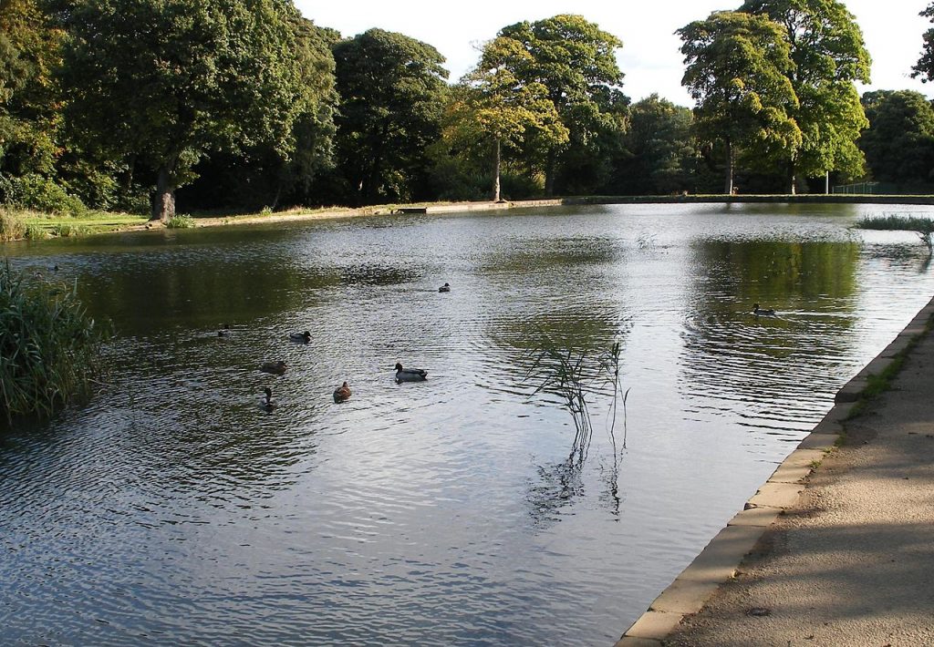 This is an image of a pond at Middleton park in Leeds.
