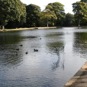 This is an image of a pond at Middleton park in Leeds.