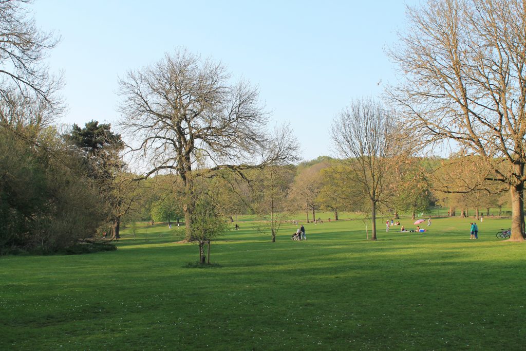 This is an image of Meanwood park in Leeds.