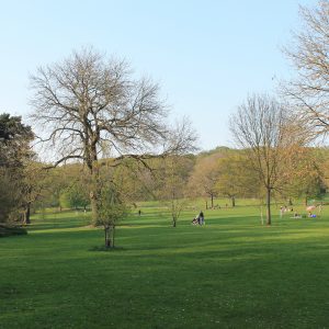This is an image of Meanwood park in Leeds.