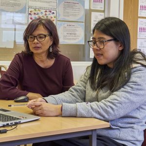 Image of two people looking at a laptop