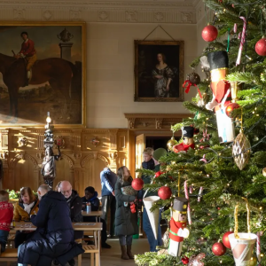 Picture of Temple Newsam christmas tree