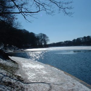 Image of Roundhay Park in the winter