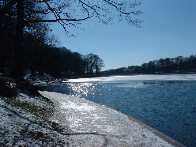 Image of Roundhay Park in the winter