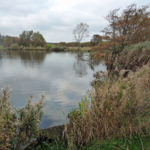 Image of Yeadon Tarn